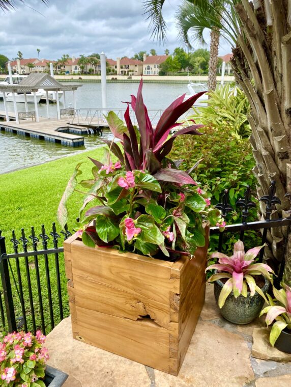Teak 19.5" Planter