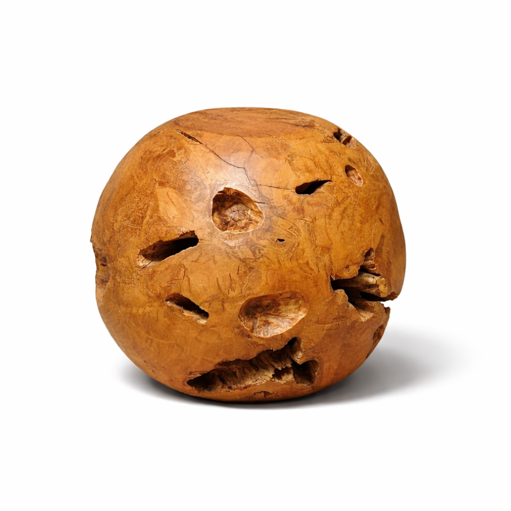 Mariana Del Ray Teak Root Side Table